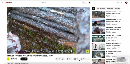 10个本地视频