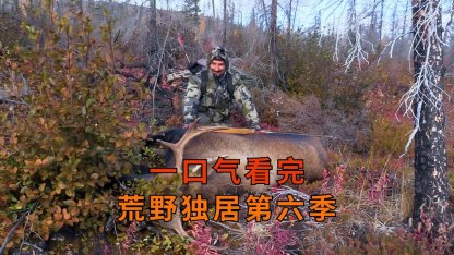 10个youtube视频
