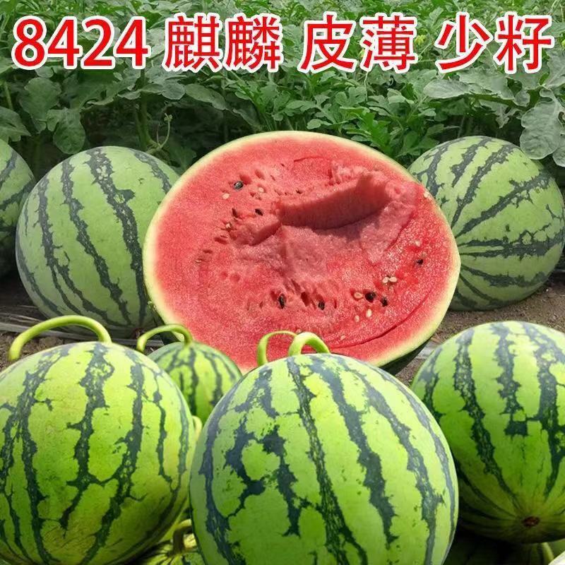 图片名称简单的商品