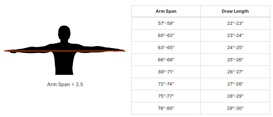 How to Measure Draw Length: Bow Draw Length Charts-CHN Archery