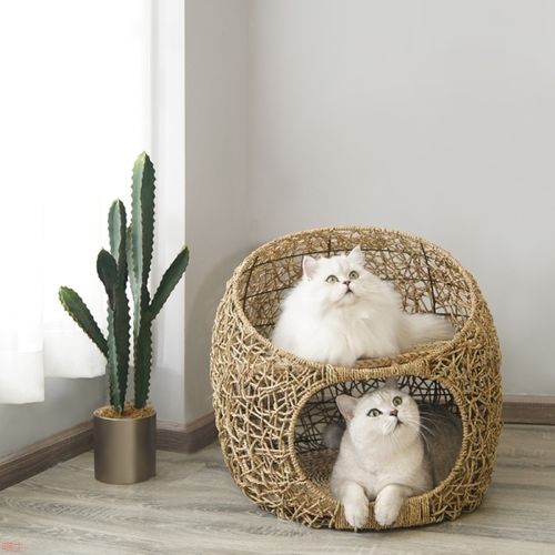 50个分类的商品