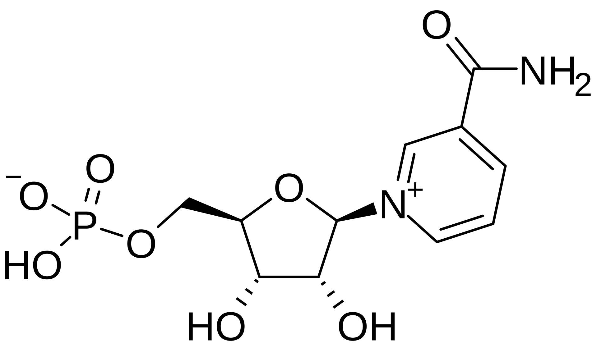 NMN molecular structure