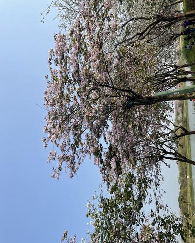 测试图片转储-手动导入的商品-修改了 url