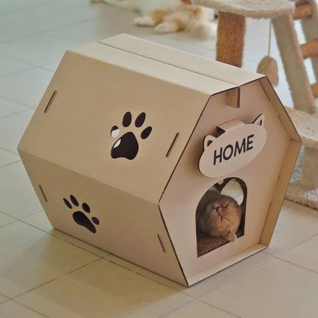 C-宠物之家内的花瓣采集图片-愚鱼jin