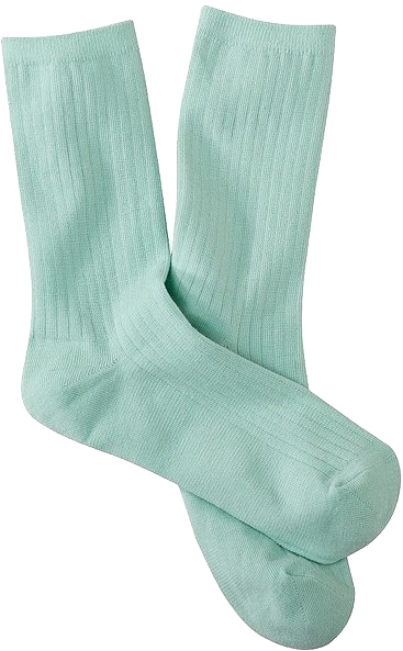 icons复古电子生活蒸汽波png内的花瓣采集图片-鱼日美文