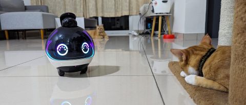 Robot con Android y Alexa convierte tu casa en un hogar inteligente - Vídeo  Dailymotion