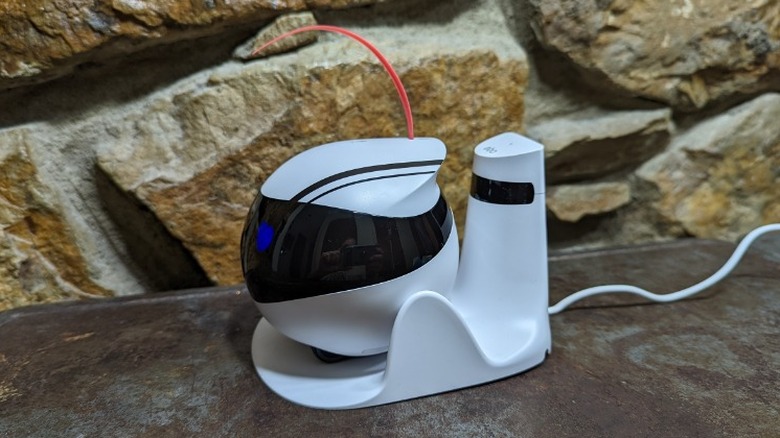 Enabot EBO Air Review: Clever Robot Cat Companion