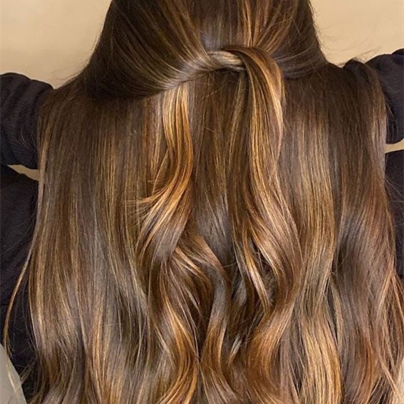 Guide to Achieving and Styling the Enchanting Honey Brown Hair Color