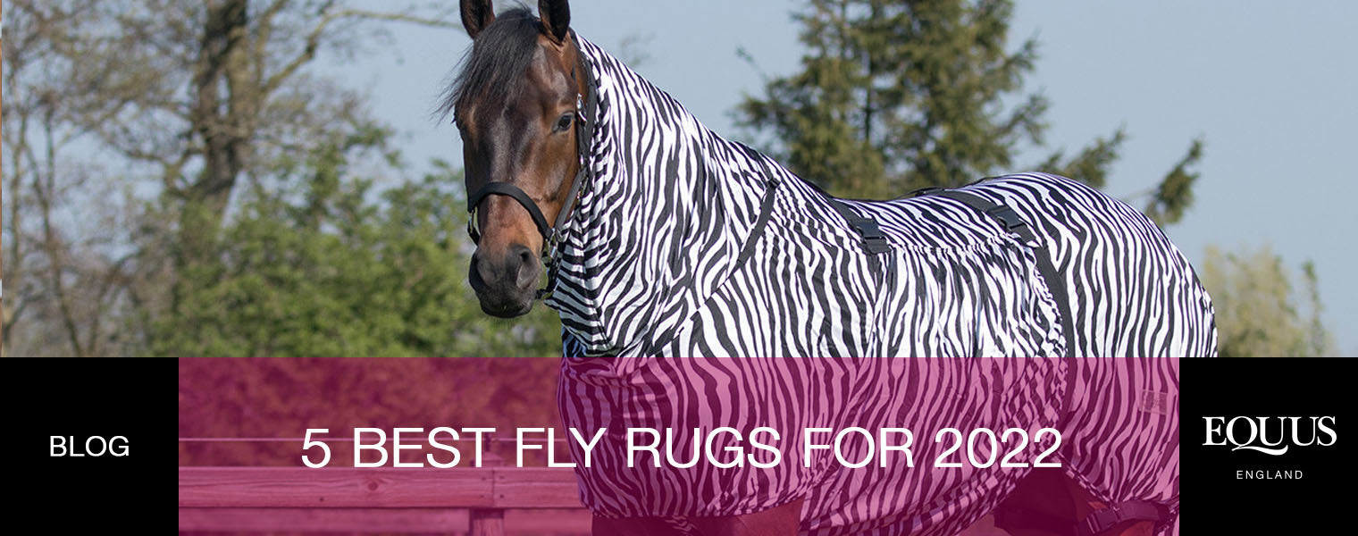 5 Best Fly Rugs For 2022