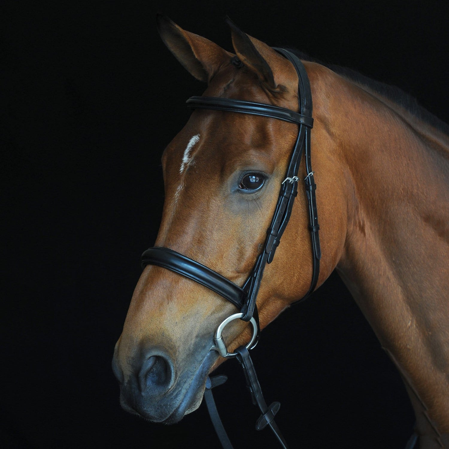 Collegiate Comfort Crown Padded Raised Cavesson Bridle