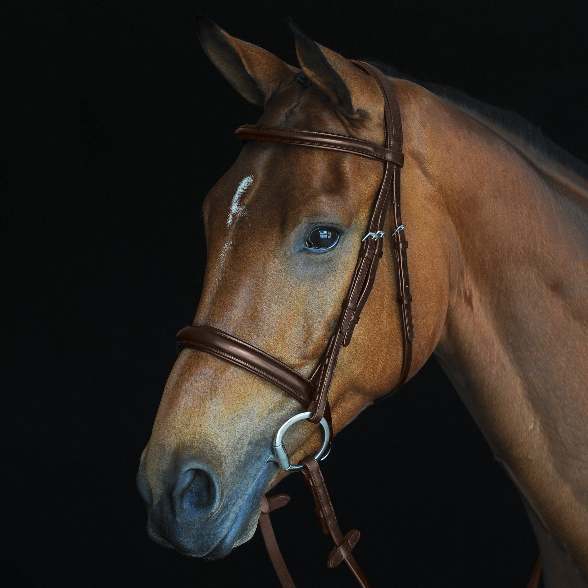 Collegiate Comfort Crown Padded Raised Cavesson Bridle
