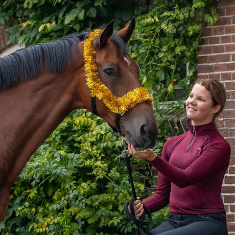 QHP Christmas Garland Headcollar