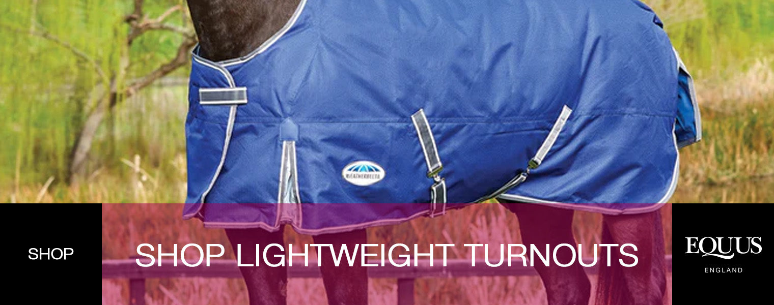 Shop Lightweight Turnout Rugs