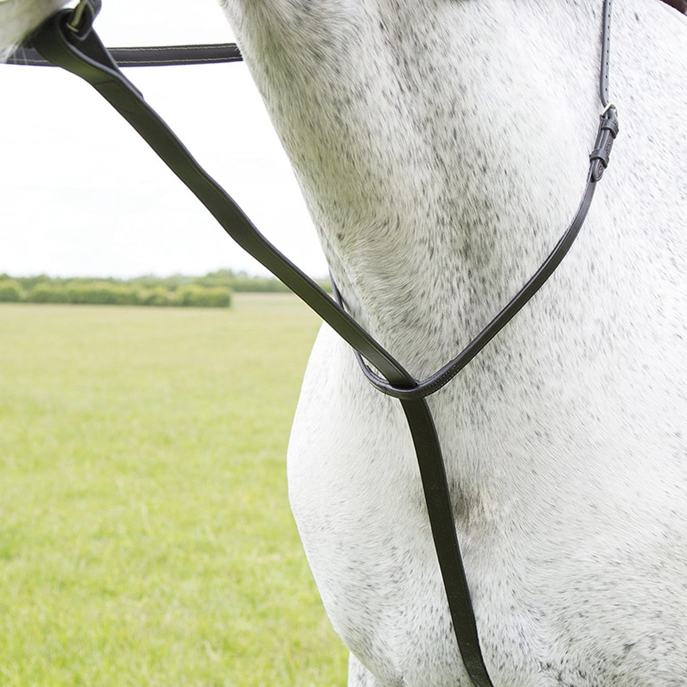 Martingales Buying Guide