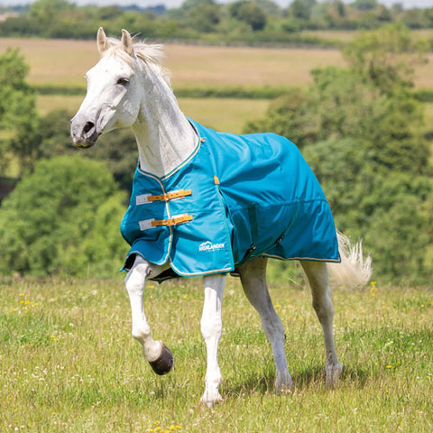 Shires Highlander Original Lightweight 0g Standard Turnout Rug