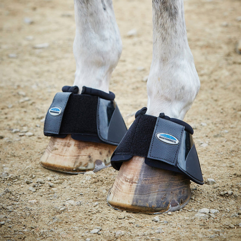 A Guide To Horse Boots: What Type & Style Should I Choose? – R & R