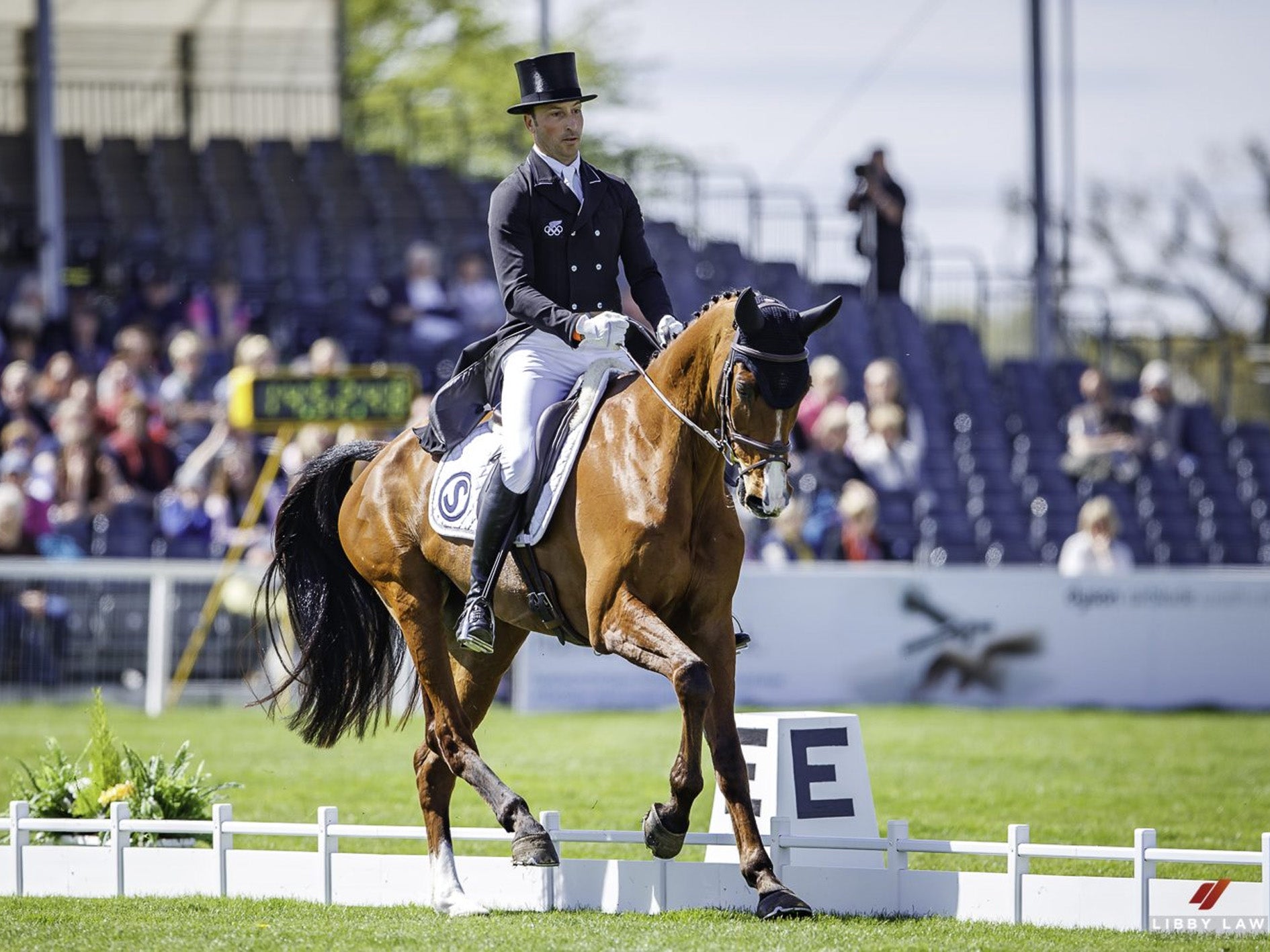 Badminton Dressage