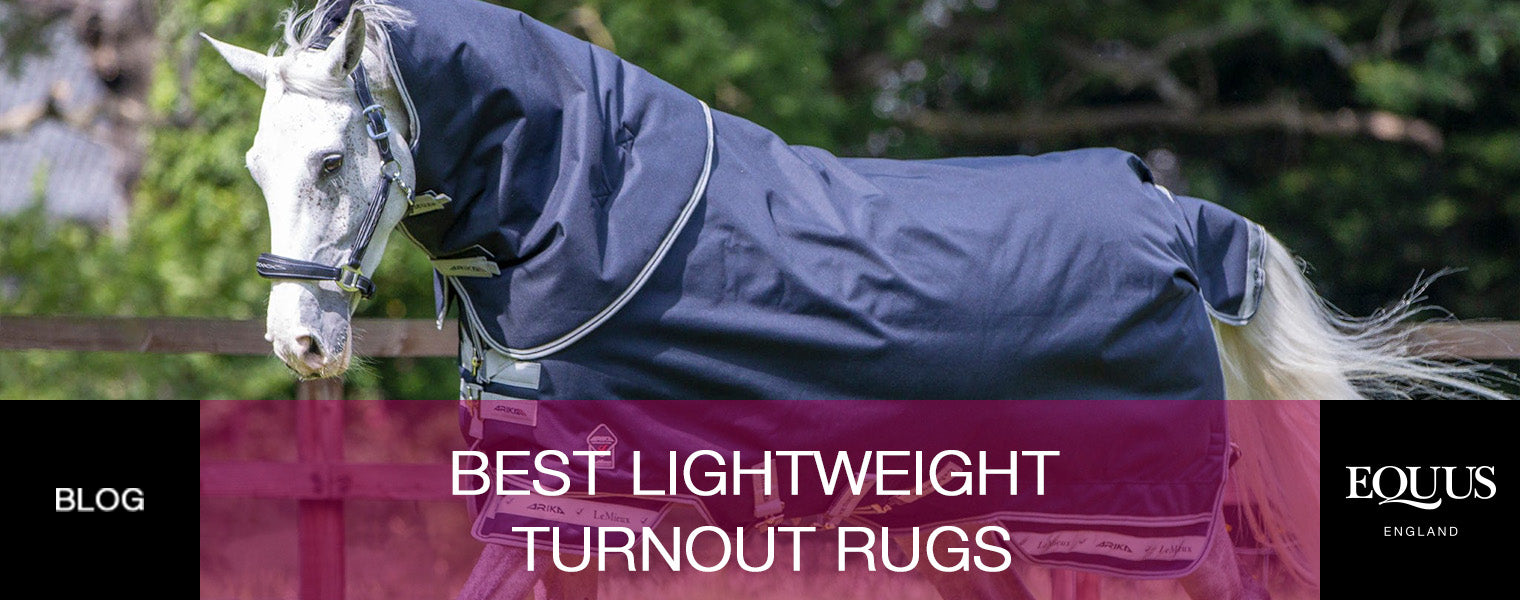 Best Lightweight Turnout Rugs