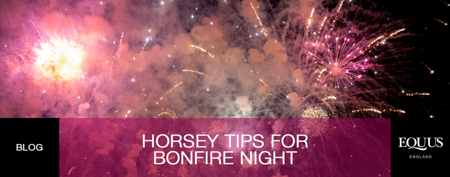 Horsey Tips for Bonfire Night