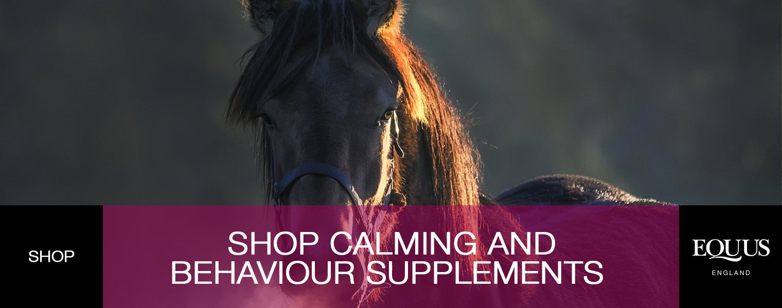Shop Calming and Behaviour Supplements