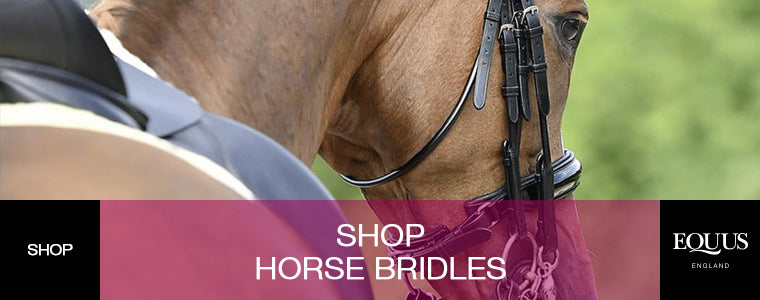 Shop Horse Bridles at EQUUS