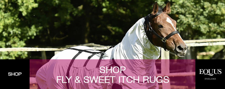 Shop Fly and Sweet Itch Rugs at EQUUS