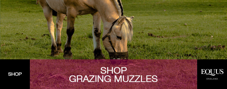 Shop Grazing Muzzles