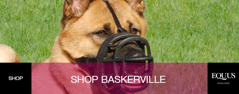 Shop Baskerville