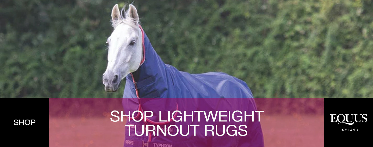 Shop Lightweight Turnout Rugs