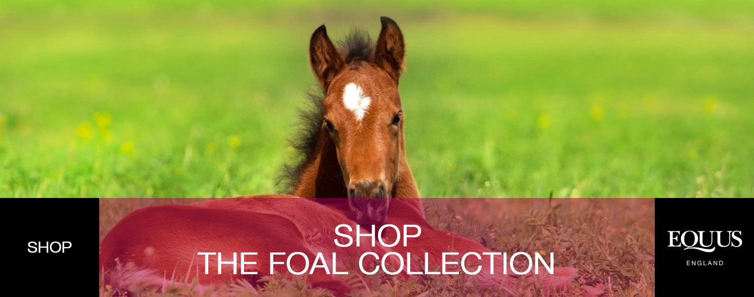 Shop the Foal Collection