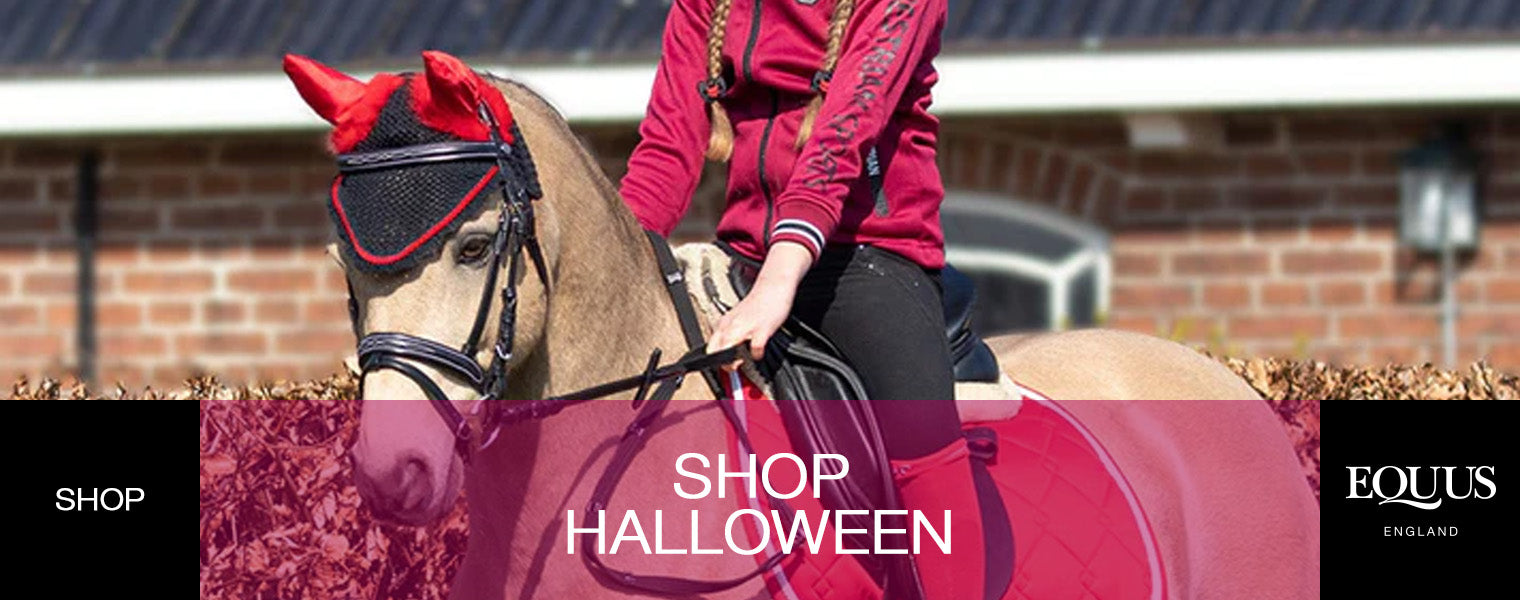 Shop Halloween at EQUUS