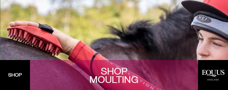 Shop Moulting