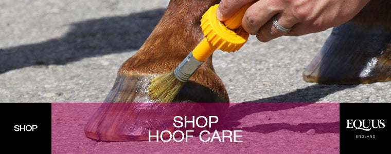 Hoof Care 101 Shop Hoof Care