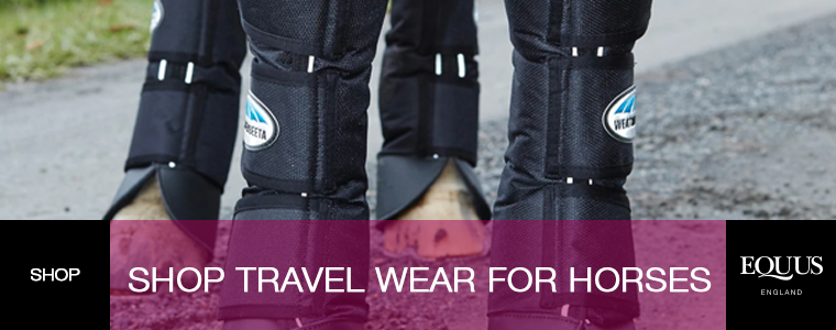 Shop Travel Wear For Horses
