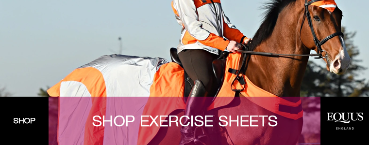 Shop Exercise Sheets