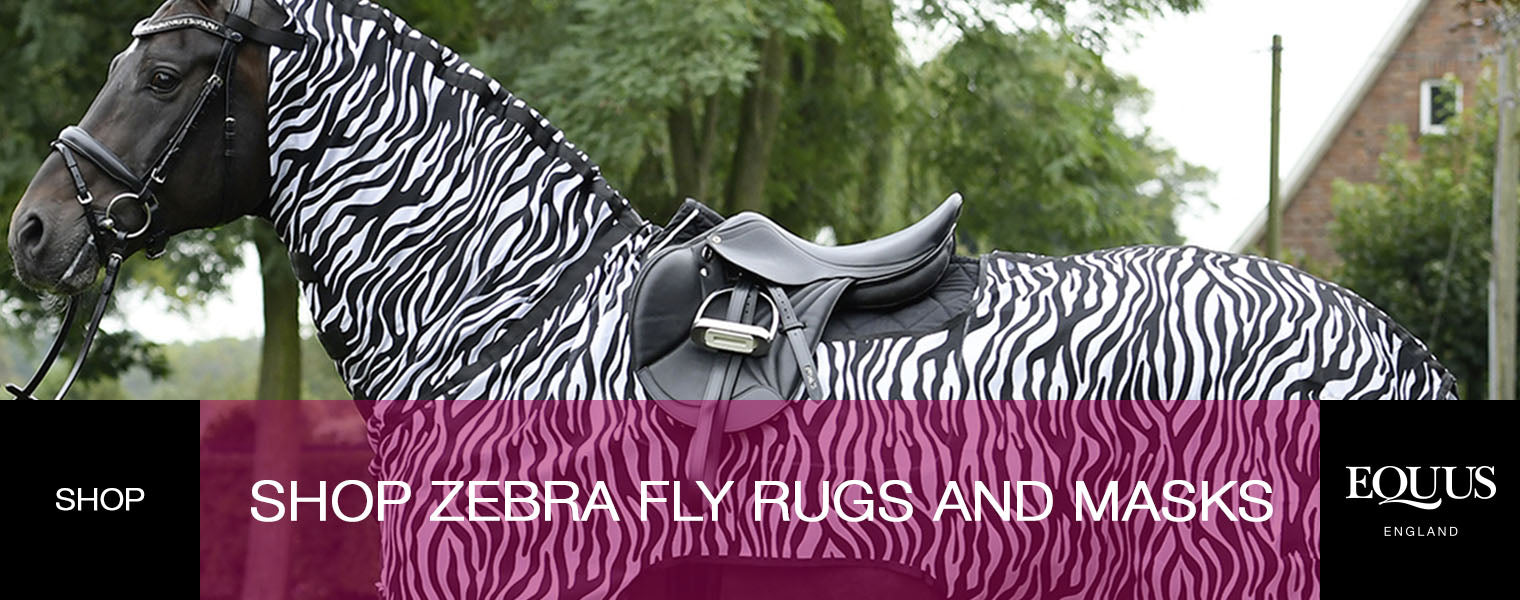 Shop Zebra Fly Rugs and Masks