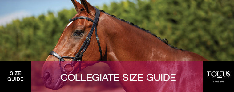 Collegiate Horsewear Size Guide