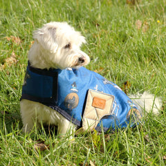 Thelwell Jumps Collection