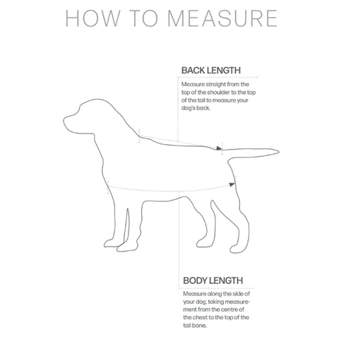 Hy Dog Coats Size Guide