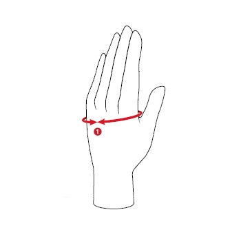 Hy Riding Gloves Size Guide