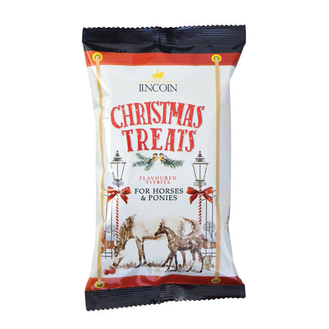 Lincoln Christmas Horse Bix