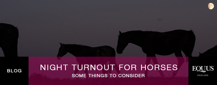 Night Turnout For Horses
