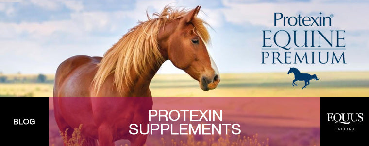 Protexin Supplements