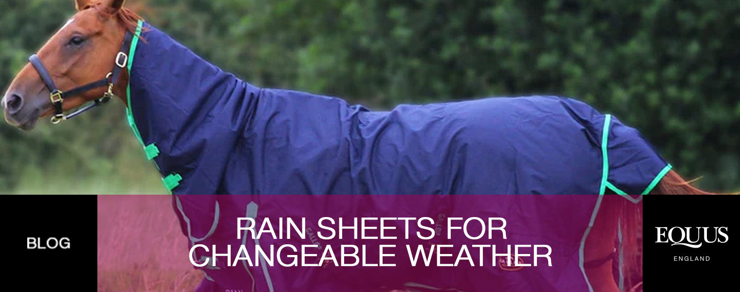 Horse rain sheets for changeable weather