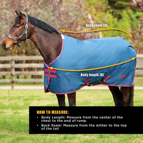 Saxon Rug Size Guide Image