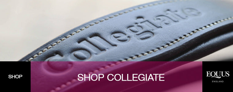 Shop Collegiate Horsewear
