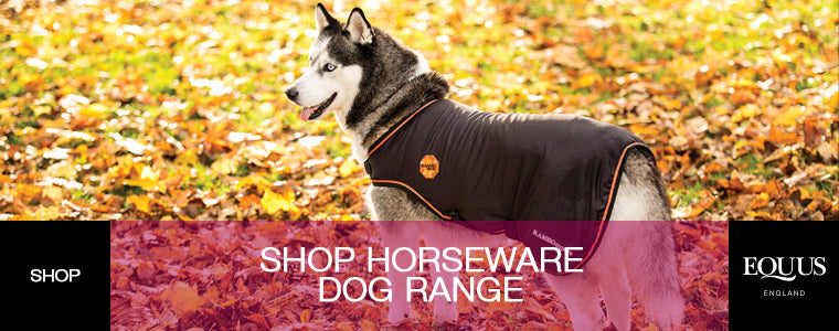 Shop Horseware Dog Range