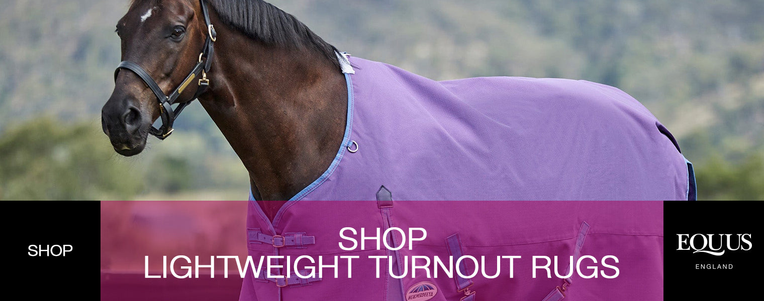 Shop Lightweight Turnout Rugs