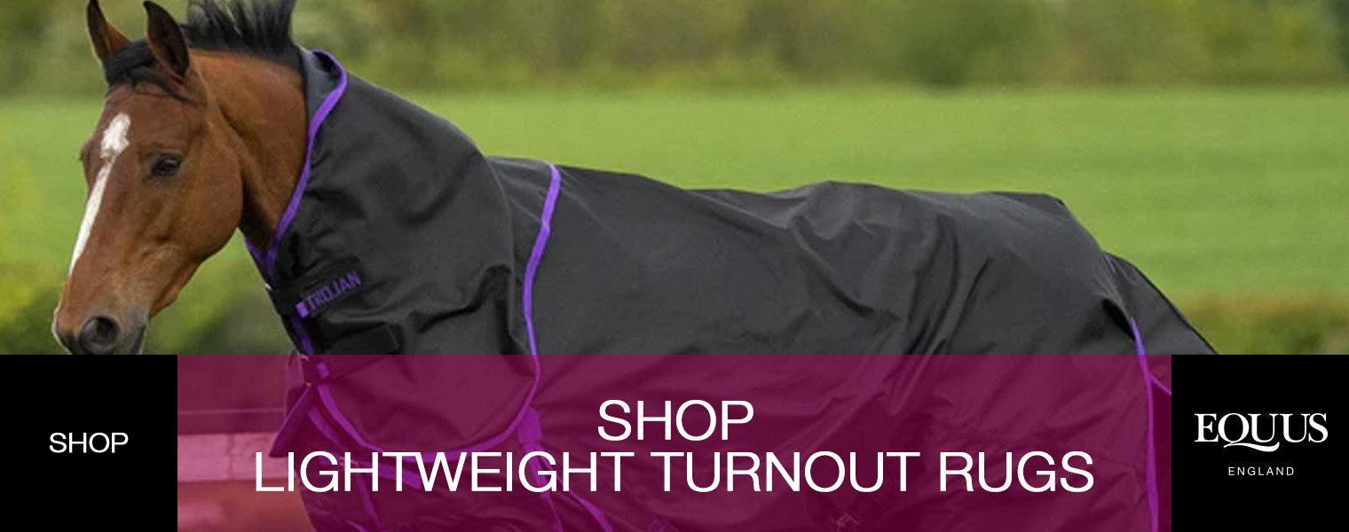 Shop Lightweight Turnout Rugs