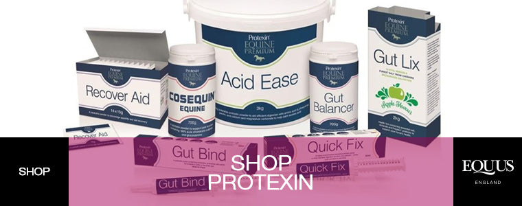 Protexin Equine Premium Horse Supplements